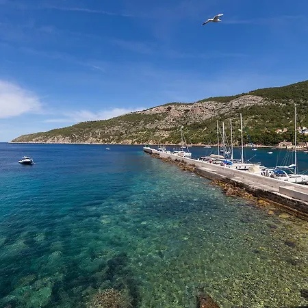 Guest house Mira Sea Front 3*