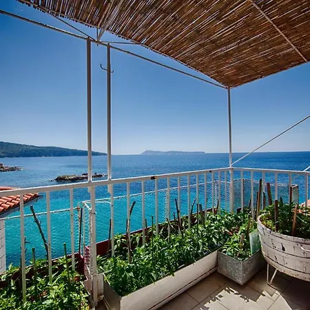 Mira Sea Front Guest house 3*